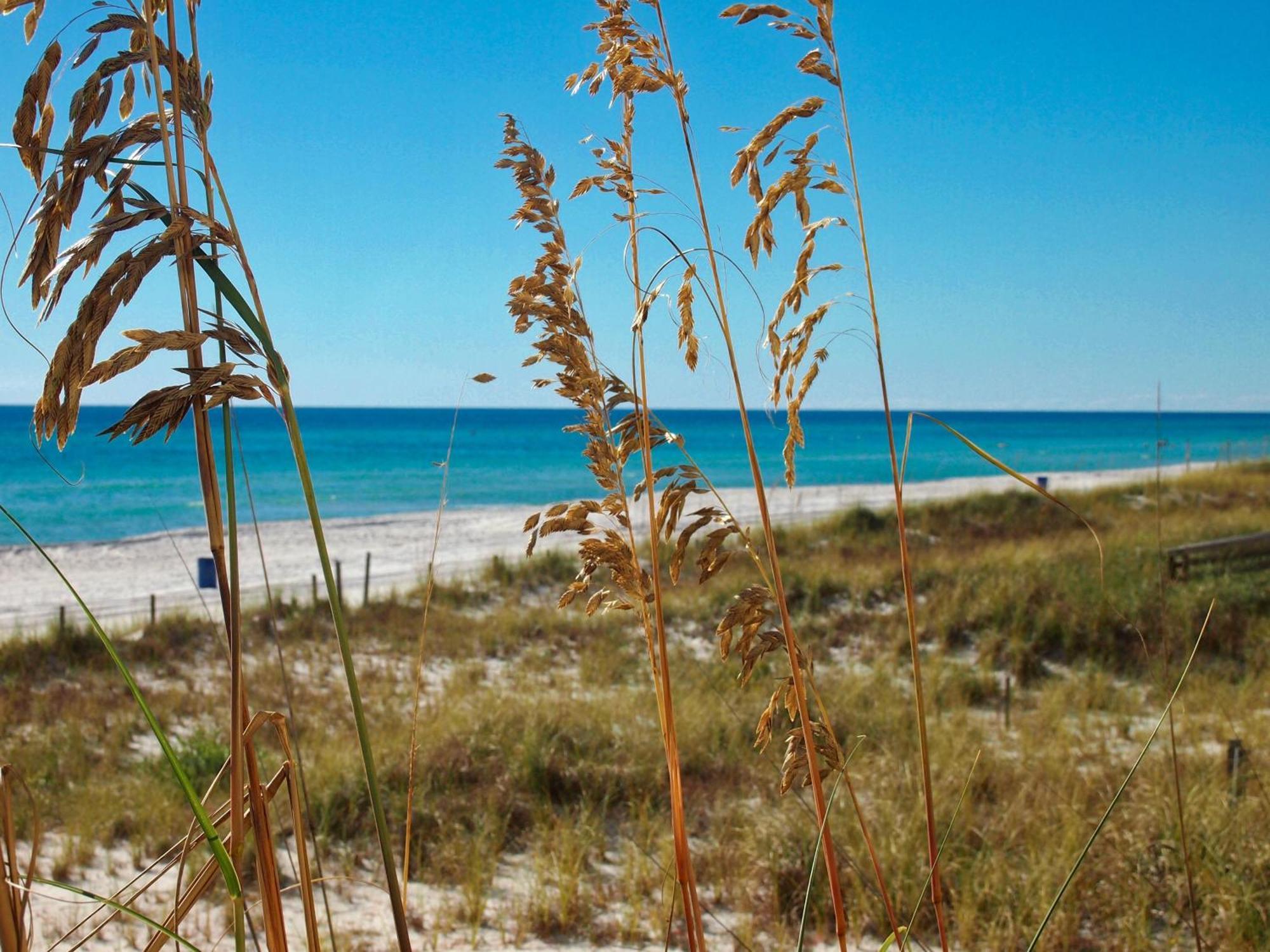 Ocean Reef 1401 Villa Panama City Beach Exterior photo